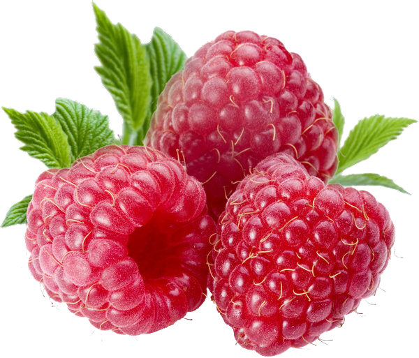 Berries