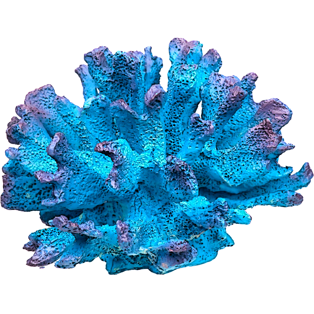 Marine Notes
