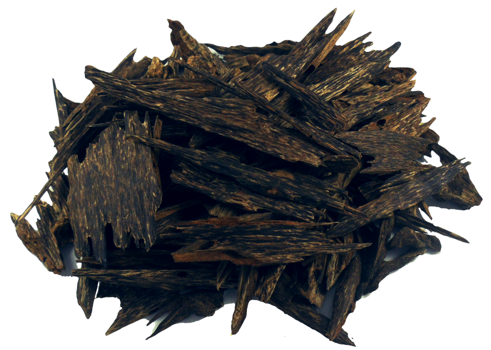 Oud